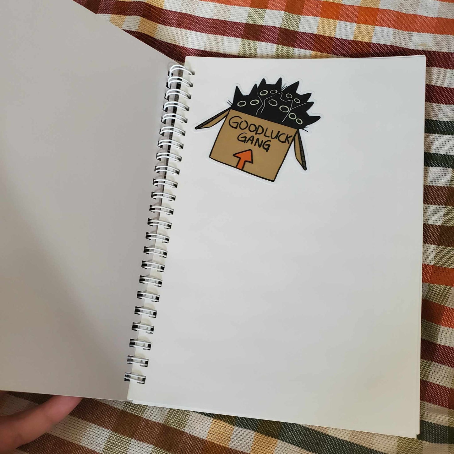 Skin and Bones Sticker Book