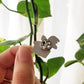 Cat Plant Enamel Pin